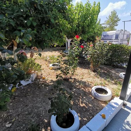 Green Garden Caravan Otel Agrilia Dış mekan fotoğraf