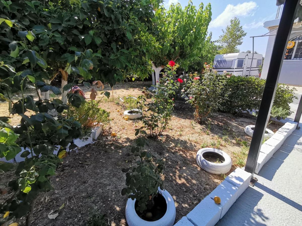 Green Garden Caravan Otel Agrilia Dış mekan fotoğraf